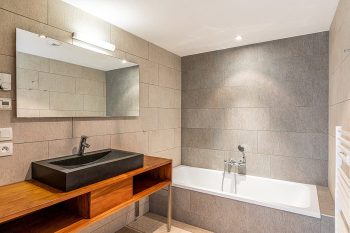 Appartementencomplex Mont Blanc Alpine Estate in Frankrijk bij Les Portes du Soleil